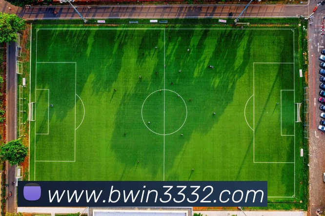 bwin必赢平台生态图